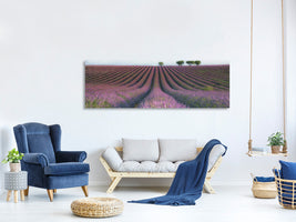 panoramic-canvas-print-velours-de-lavender