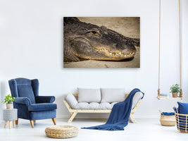 z-canvas-print-attention-alligator